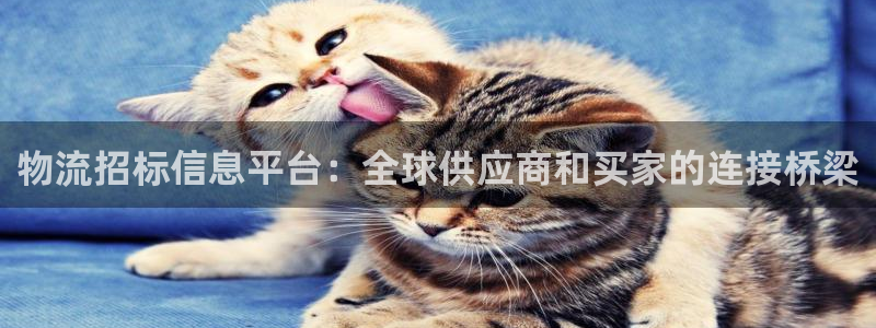 28圈充值为什么充不了