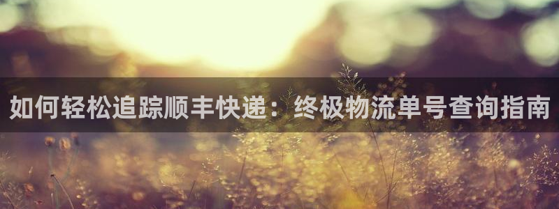 28圈游戏最新版:如何轻松追踪顺丰快