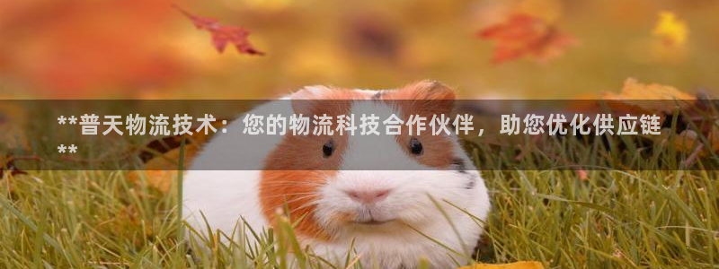 28圈