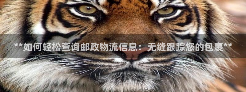 28圈官网下载链接是什么网站