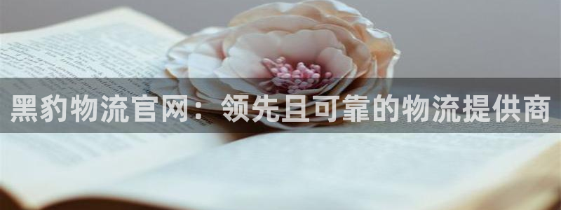 28圈链官网
