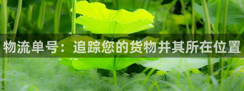 28圈链接来一个