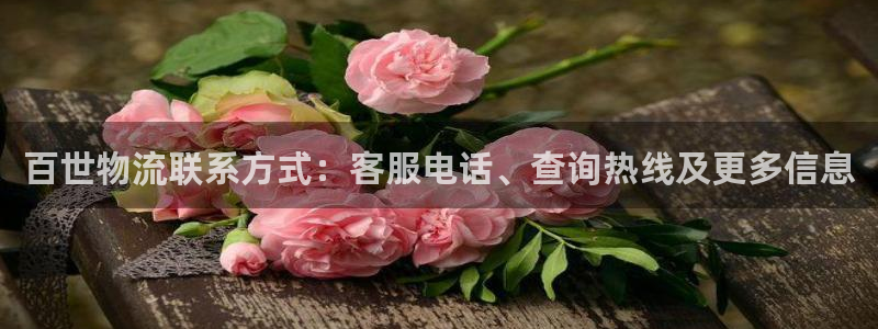 28圈注册网址百度知道：百世物流联系