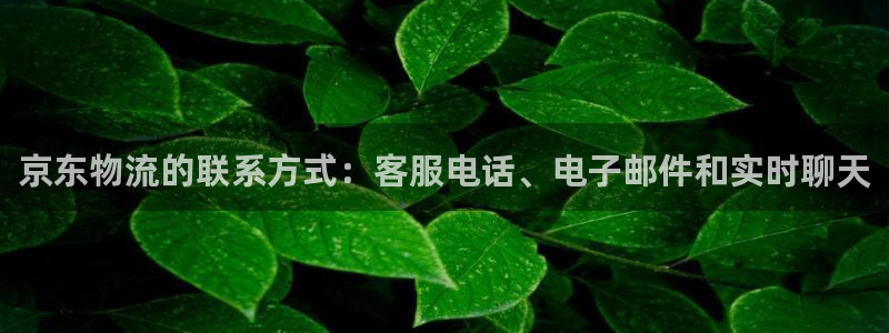 28圈p图上分下款通道
