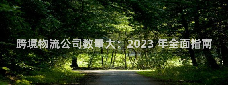 28圈网站平台