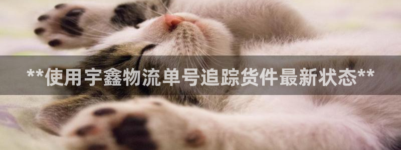 28圈网站平台