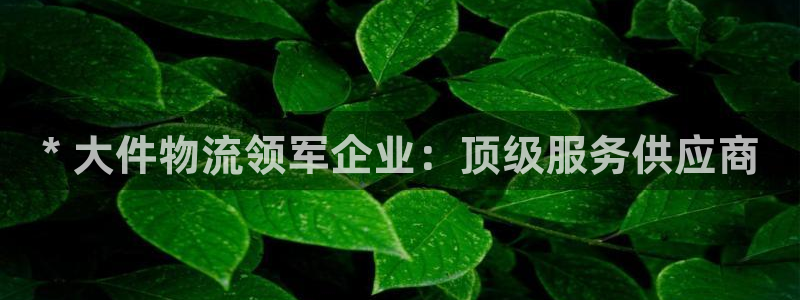 28圈黑吗