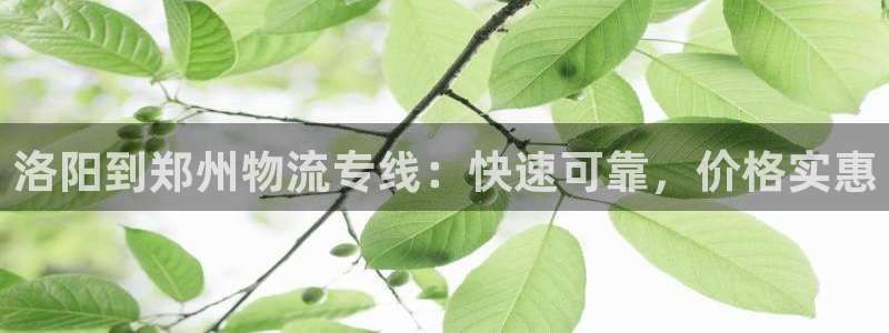 28圈能赢钱吗