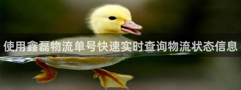 28圈.ccm官网