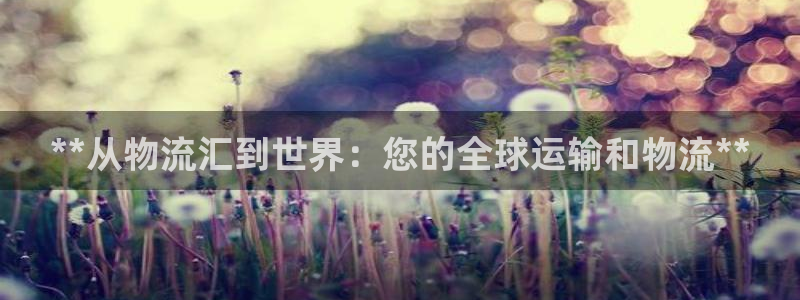 28圈aPP退款