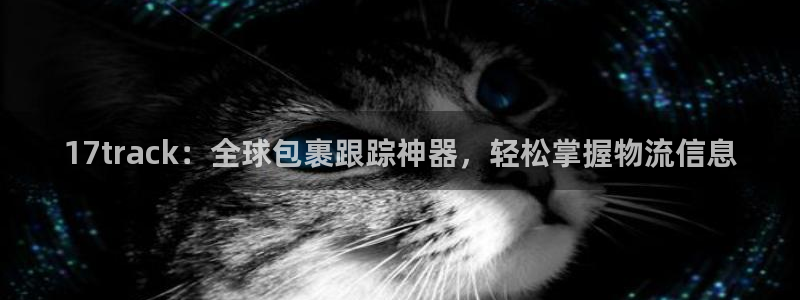 28圈注册网页版:17track:全