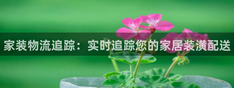 28圈游戏官网版