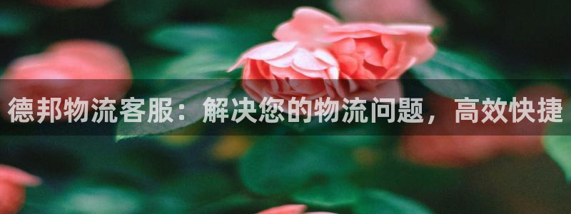 pc28圈怎么注册：德邦物流客服：解