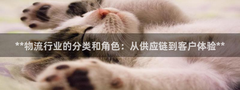 28圈反水怎么算