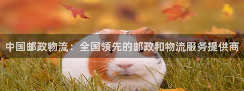 28圈口内径是多大