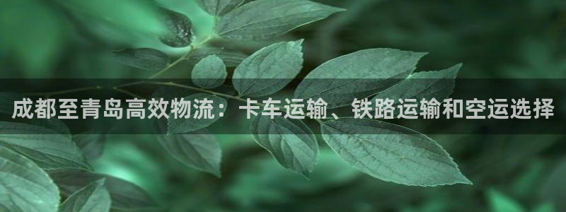 28圈图片