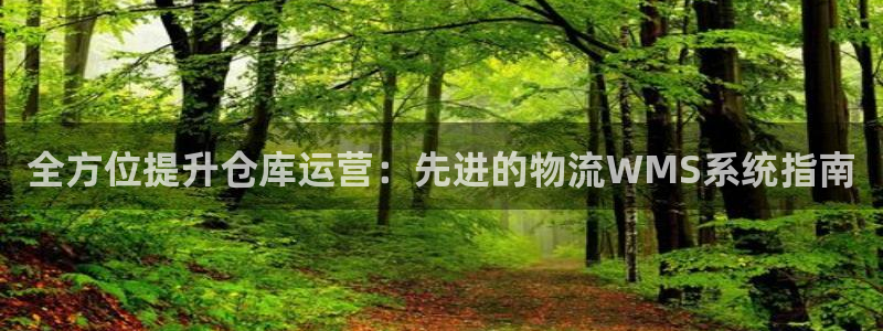 28圈麻将胡了在线试玩