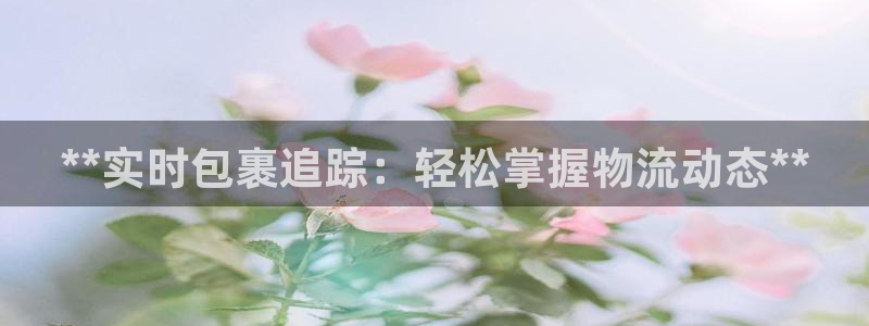 28圈如何退款