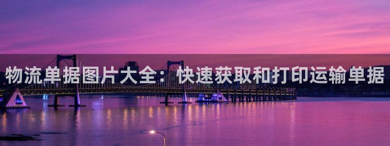 28圈加拿大怎么玩
