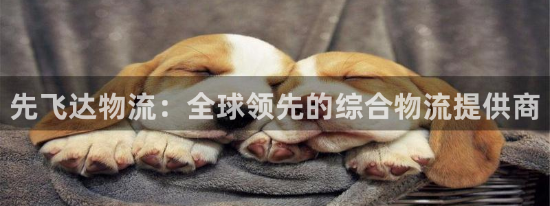 28圈农业银行是狗卡吗