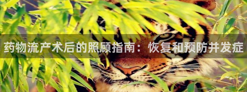 28圈游戏官网版