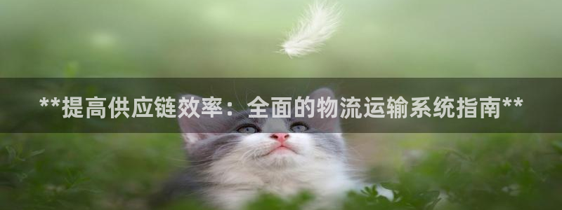 28圈人头费