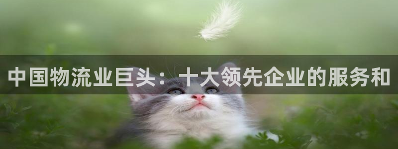 28圈ccm官网版
