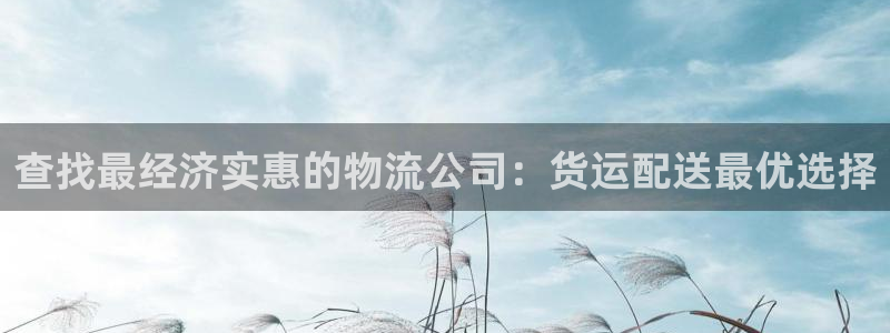 28圈pc预测