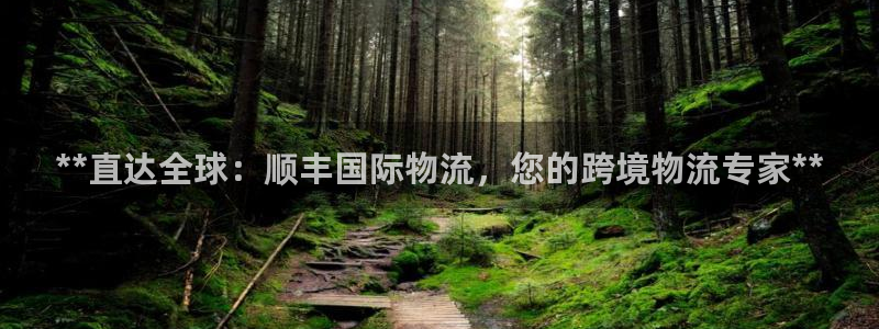 28圈充值