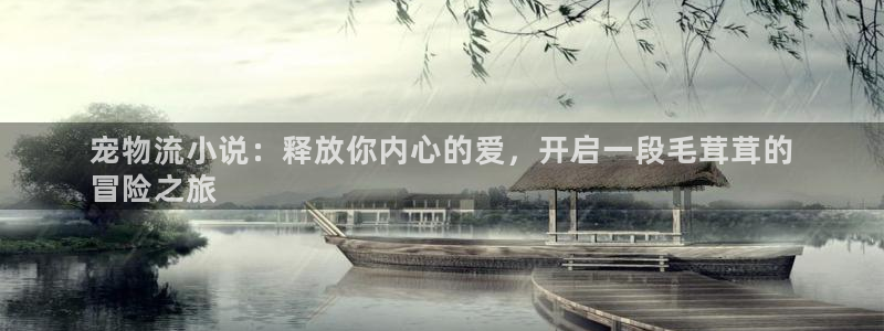 28圈登录用户名登录不上