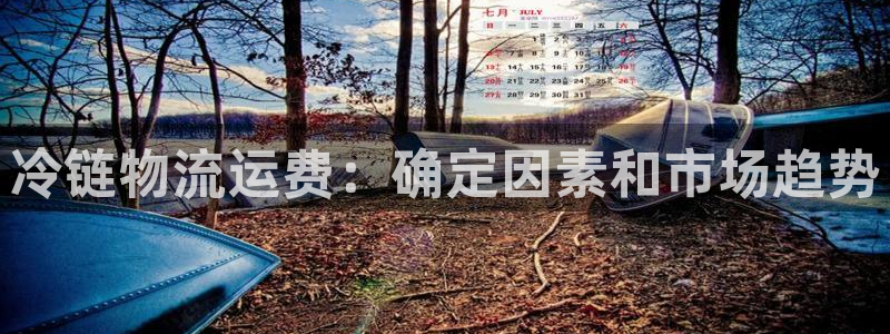 28圈p扣款什么意思