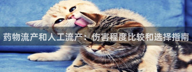 28圈注册教程