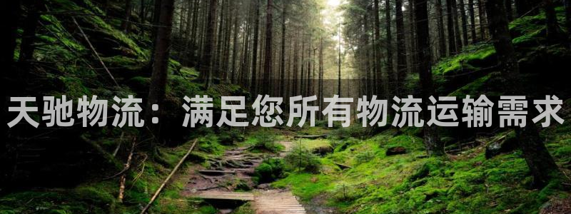 28圈充值不处理会怎么样