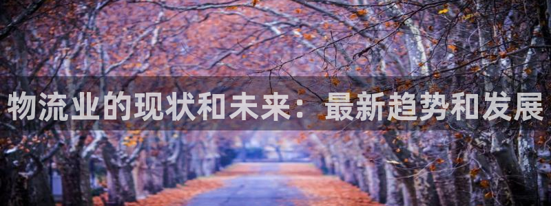 28圈加拿大怎么玩