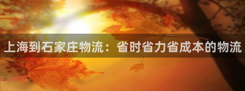 28圈反水