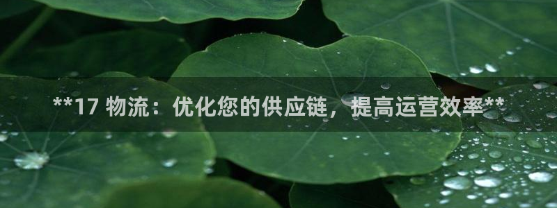28圈注册平台