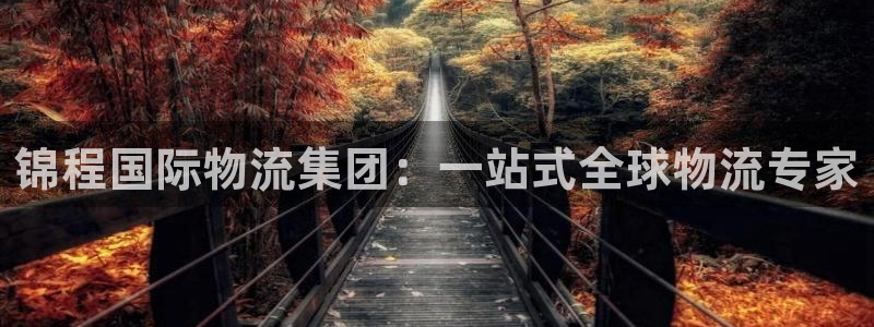 28圈链接是什么
