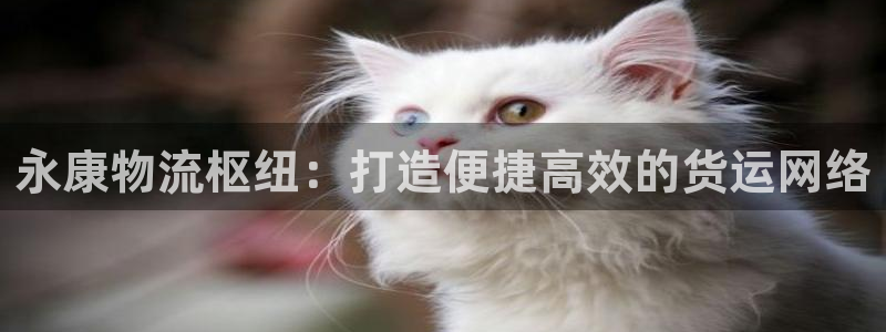 28圈注册教程