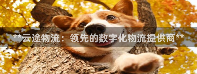 28圈注册入口与教程