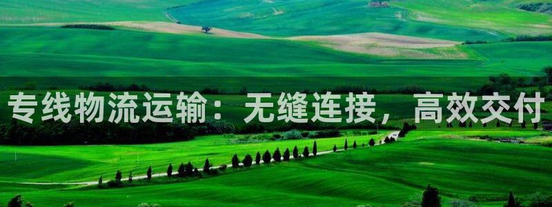 28圈注册官网