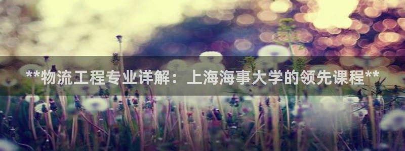 28圈圈