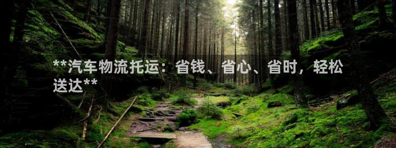 28圈p扣除是什么意思