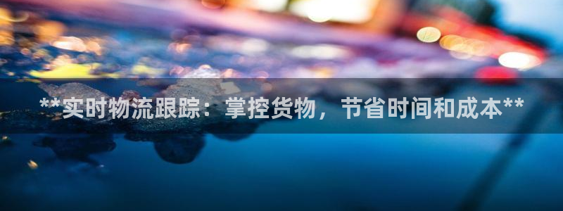 28圈代理落网