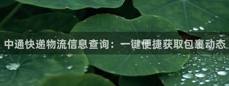 28圈违法吗