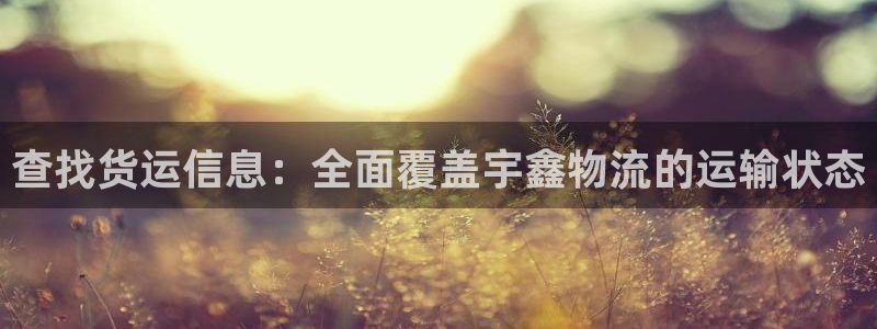 28圈下载二维码怎么弄