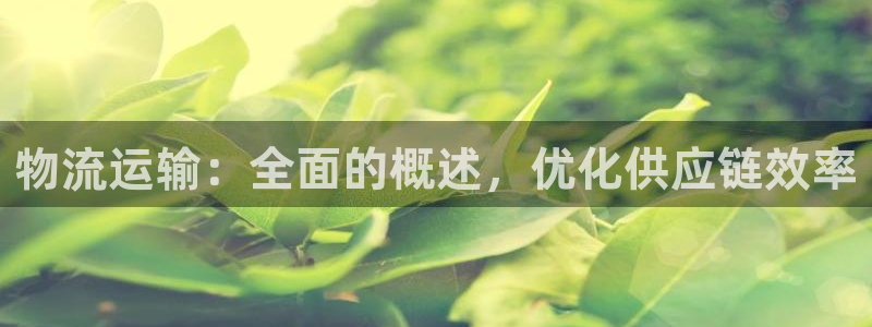 28圈那个才是充值账号