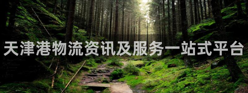 28圈提款一直没到