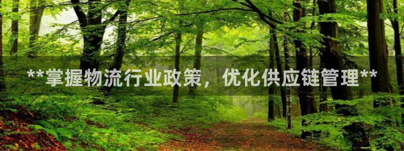 28圈软件