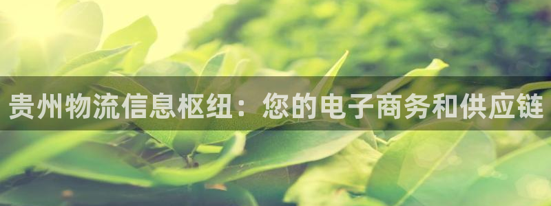 28圈电子