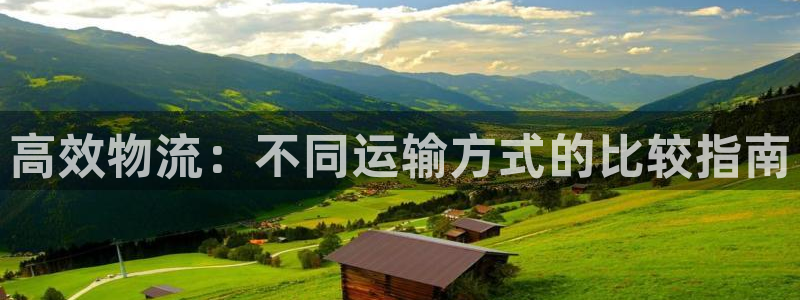 28圈代理落网